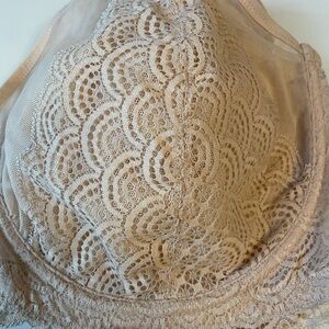 Elegant Lace Women's Bra in Beige